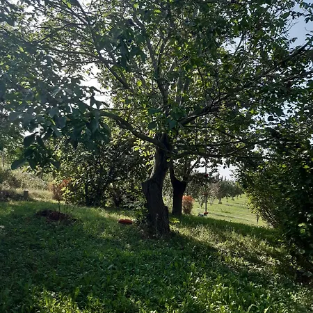 I Tre Platani Apartment Castellinaldo